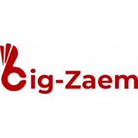 Биг займ (Bigzaim)